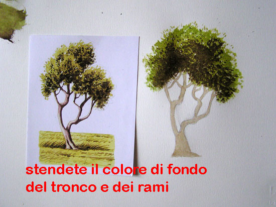 corso di disegno naturalistico 7 lezione